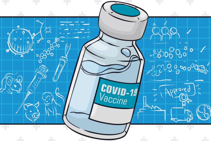 The Coronavirus Vaccine