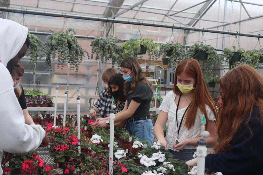 Waxahachie High School Plant Sale