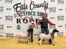 Hachie County Swine Show