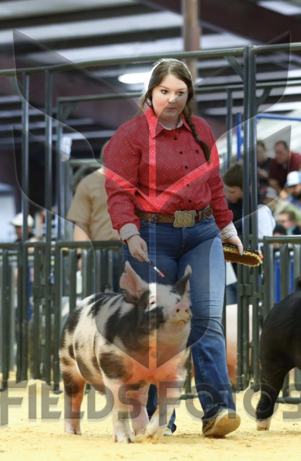 Junior year stock show season was success