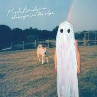 Stranger in the Apls: A Mystic, Heart Wrenching Album Leaving You Vulnerable and Nostalgic